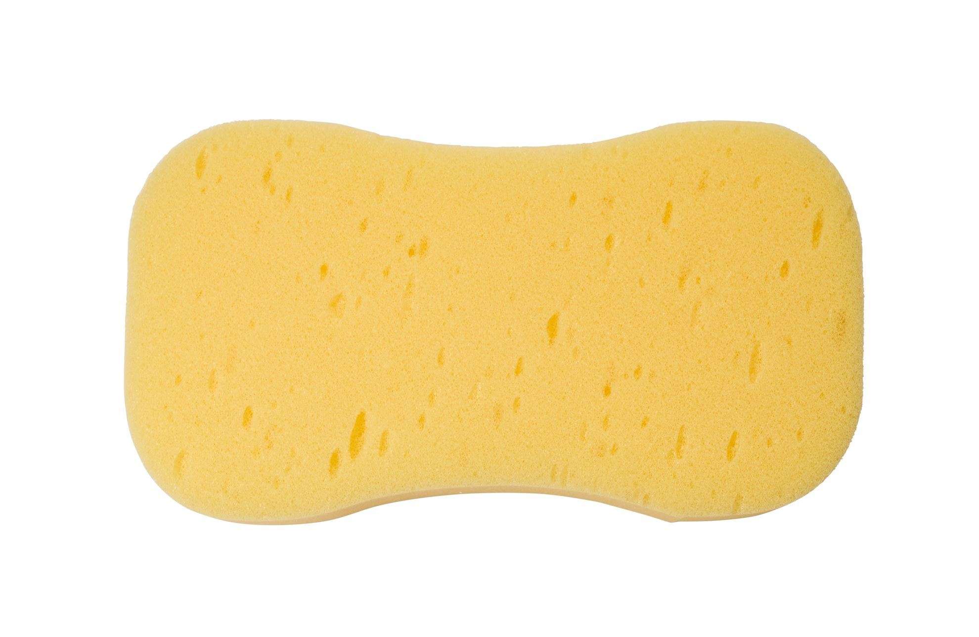 Harris Essentials Large Decorating Sponge Decor 8 Stornoway