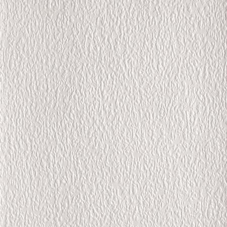 Anaglypta Early Victorian Paintable Textured Vinyl White  OffWhite  Wallpaper Sample 437RD01600SAM  The Home Depot